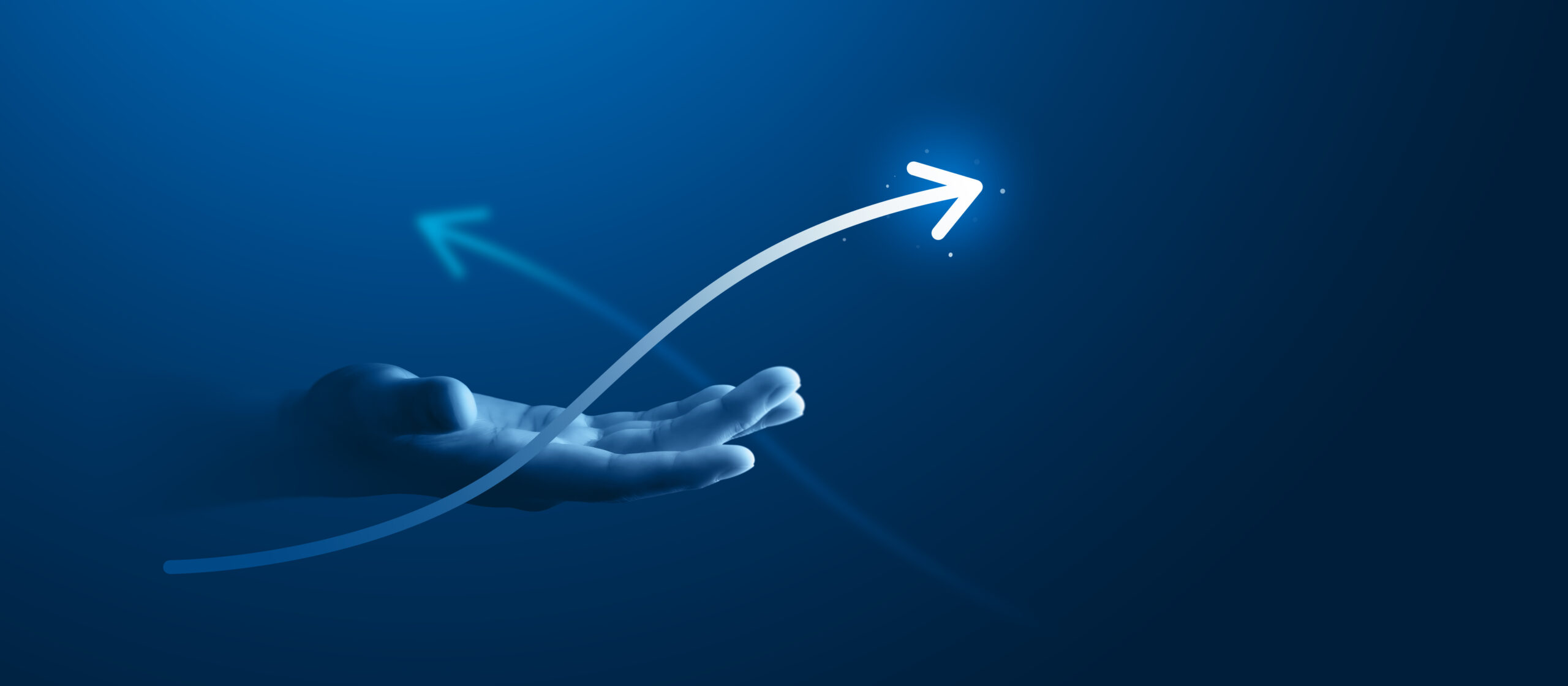 SPECIALISED INVESTMENT FUND SERVICES Edison Capital Partners